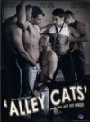 Randy Blue, Alley Cats